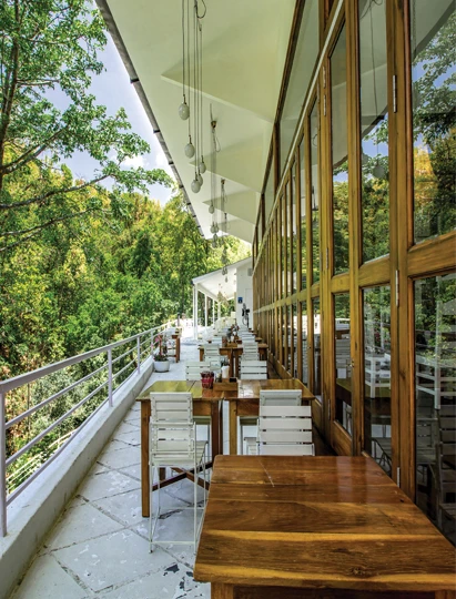 Cafe in Rajpur Road Dehradun