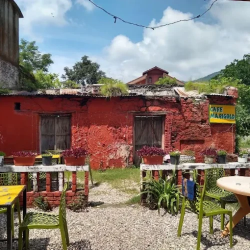 Café Marigold