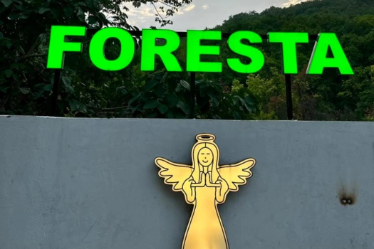 Best Restaurant in Dehradun