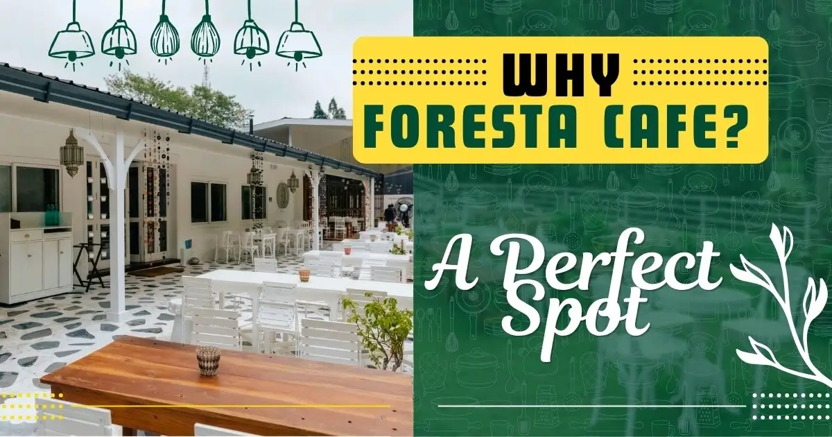 Best Restaurant in Dehradun