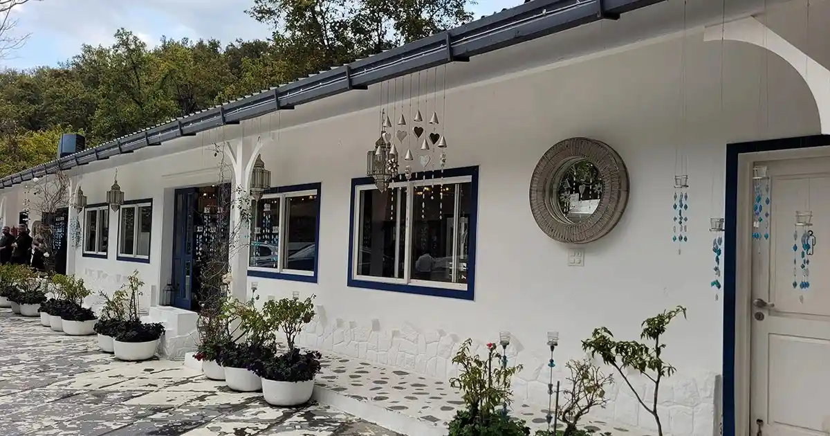 Why Foresta Cafe Feels Like a Hidden Escape