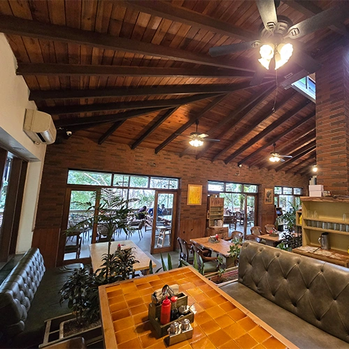 Orchard: The Riverside Escape