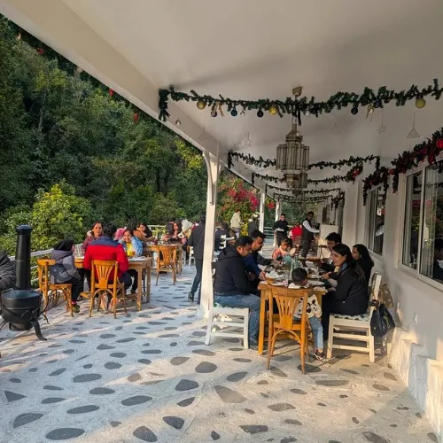Reclaiming the Lost Art of Slow Dining